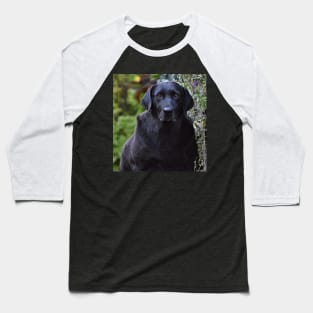 Longing Eyes Baseball T-Shirt